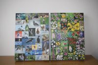 2x 1000 Teile Puzzle Birds/ Flowers of Norway Je 12 € Hessen - Cölbe Vorschau