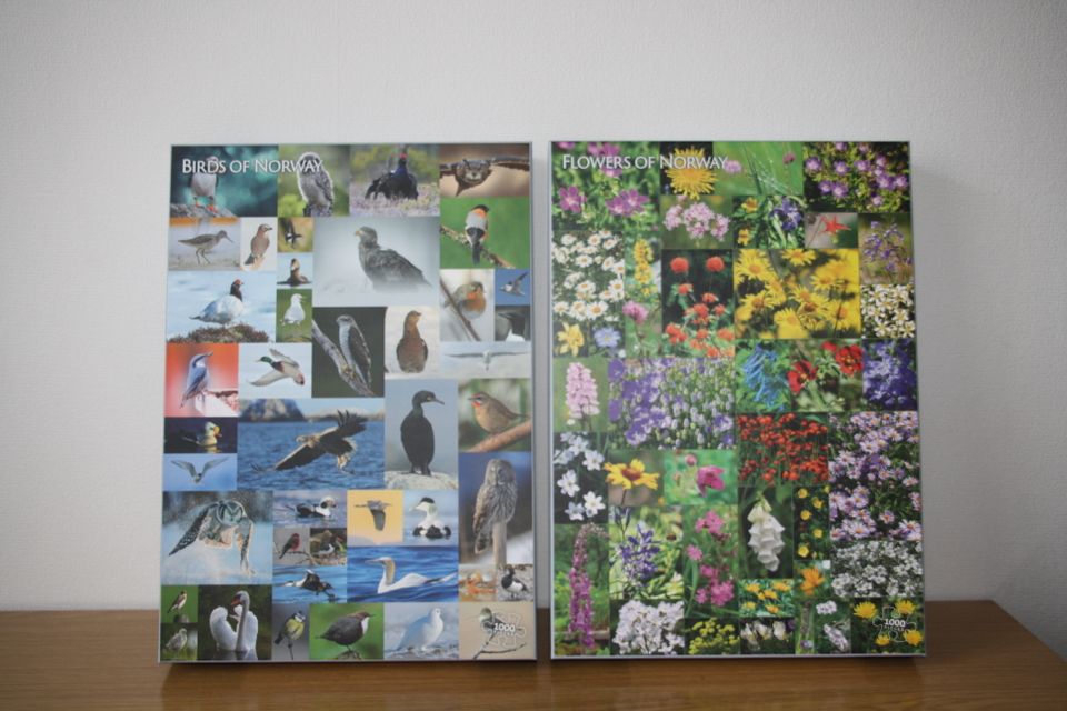 2x 1000 Teile Puzzle Birds/ Flowers of Norway Je 12 € in Cölbe