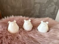 Kleine Bären Teddys aus Raysin Deko Geschenk ab 2,50€ weiß o.rosa Hessen - Willingshausen Vorschau