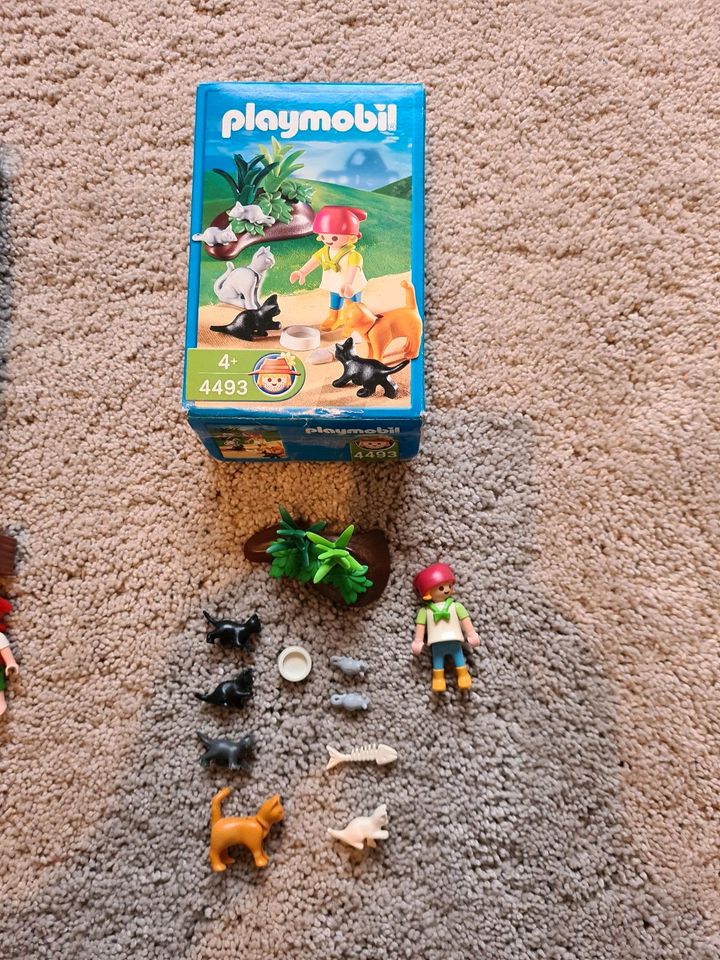 Playmobil Katzenfamilie 4347 oder 4493 Kratzbaum in OVP in Hessen - Kassel  | Playmobil günstig kaufen, gebraucht oder neu | eBay Kleinanzeigen ist  jetzt Kleinanzeigen