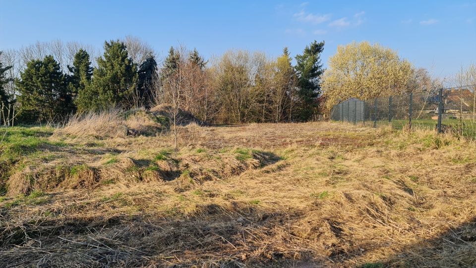 Baugrundstück! Noch dieses Jahr im neuen Haus? in Wiedemar