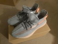 Adidas Yeezy boost 350 V2 TRFRM 44 2/3 US 10.5 Hessen - Buseck Vorschau