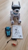 Ziggy Robo Dog Baden-Württemberg - Karlsruhe Vorschau