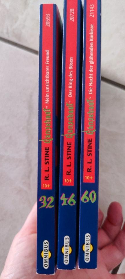 Gänsehaut Kinder Taschenbuch Serie von R.L. Stine 10+ in Grenzach-Wyhlen