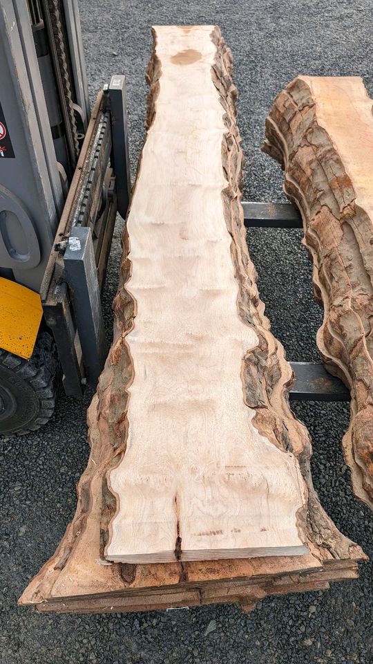 Platane Maser Bohlen / Massivholz / Epoxidharz Tischplatte Holz in Rot am See