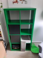 Ikea Kallax-Regal grün Sachsen - Kitzscher Vorschau