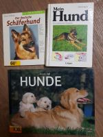 Hundebücher Niedersachsen - Seelze Vorschau