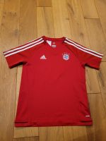 Adidas Shirt Größe 152 FC Bayern Bayern - Hallstadt Vorschau