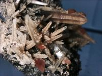 Rhodochrosit Sweet Home Mine Mineralien Sammlung Teil Auflösung Nordrhein-Westfalen - Brüggen Vorschau