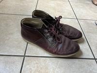 Ecco Leder sneaker Gr 40+ Zugabe Reebok Sportschuhe Nordrhein-Westfalen - Hennef (Sieg) Vorschau