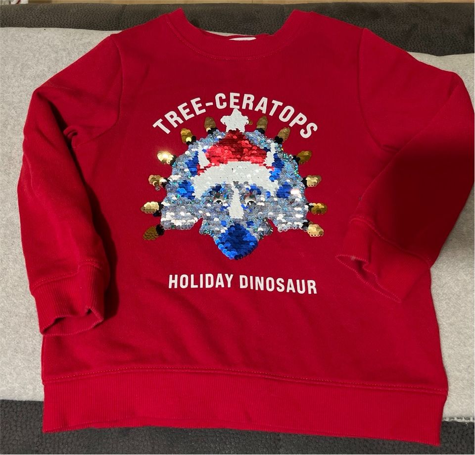 Weihnachten Pullover Dino Triceratops Pailletten in Bremen