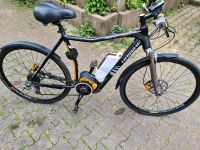 Haibike 28" Zoll E-Bike Baden-Württemberg - Murg Vorschau