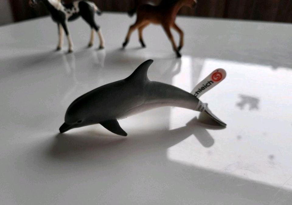 6x Schleich Tiere ❤️ Pferde Hase Delfin.. in Dornhan