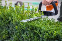 Hecke schneiden, Gartenpflege, Büsche entfernen, Heckenschnitt Niedersachsen - Hameln Vorschau