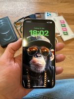 iPhone 12 Pro Max - Super Zustand - Zubehör Hessen - Wetzlar Vorschau