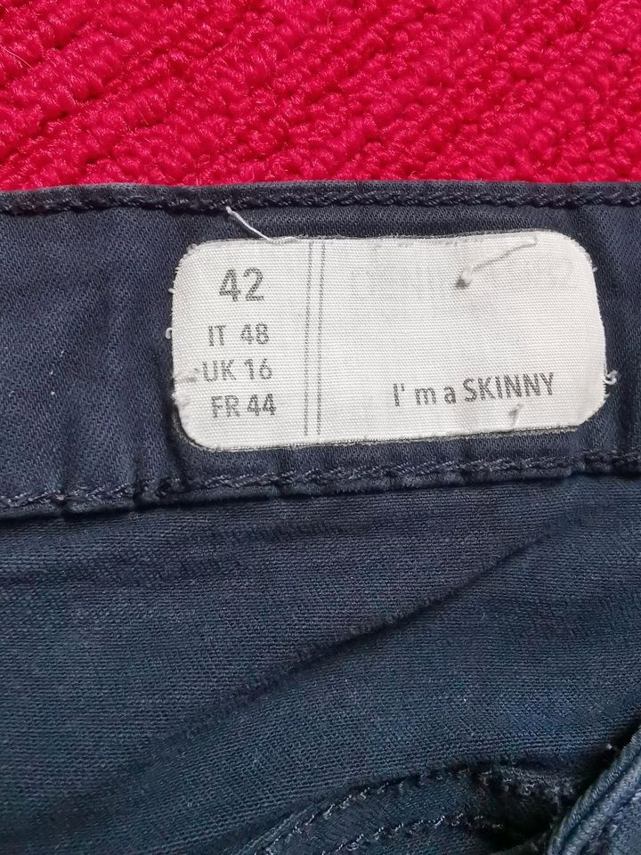 Jeans Hosen Damen Gr 42 in Augustdorf