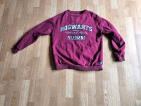 Harry Potter Kinder Pulli Pullover, Hogwarts USA Größe 158/164 Hessen - Schwalbach a. Taunus Vorschau