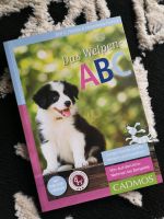 Hunde Buch Das Welpen ABC Rheinland-Pfalz - Lauschied Vorschau