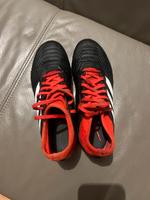 Fußballschuhe Gr. 36 1/2 Adidas Predator Bayern - Wörth an der Isar Vorschau