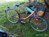 Fahrrad 28" Bayern - Salzweg Vorschau