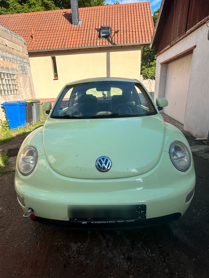 VW New Beetle in Hohen-Sülzen