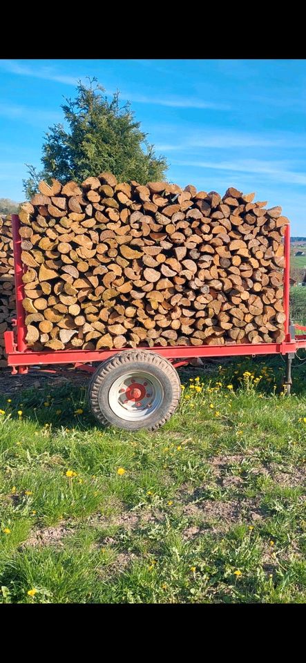 Brennholz Fichte Nadelholz keine Buche Eiche oder Lerche in Haina