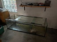 Aquarium / Terrarium 200x60x80 cm Bayern - Zeil Vorschau