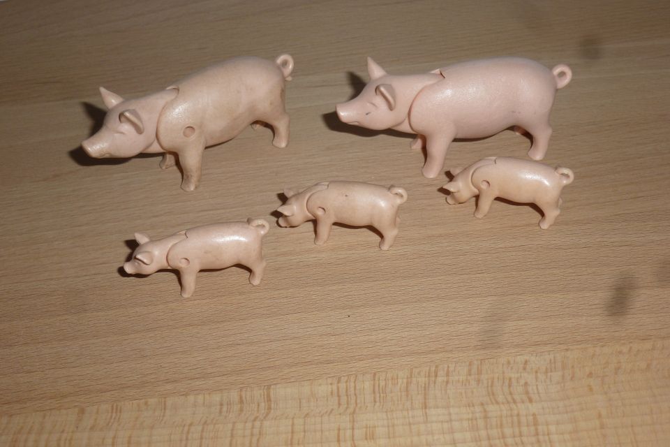 Playmobil / Schweine in Essen