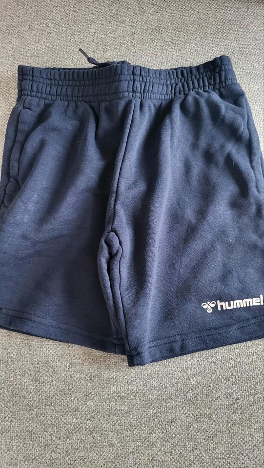 Hummel Shorts Sweathose 152 in Baesweiler