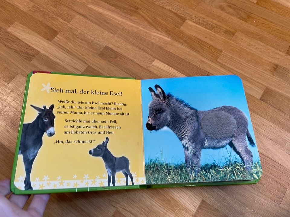 Buch, Streicheltiere in Lörrach