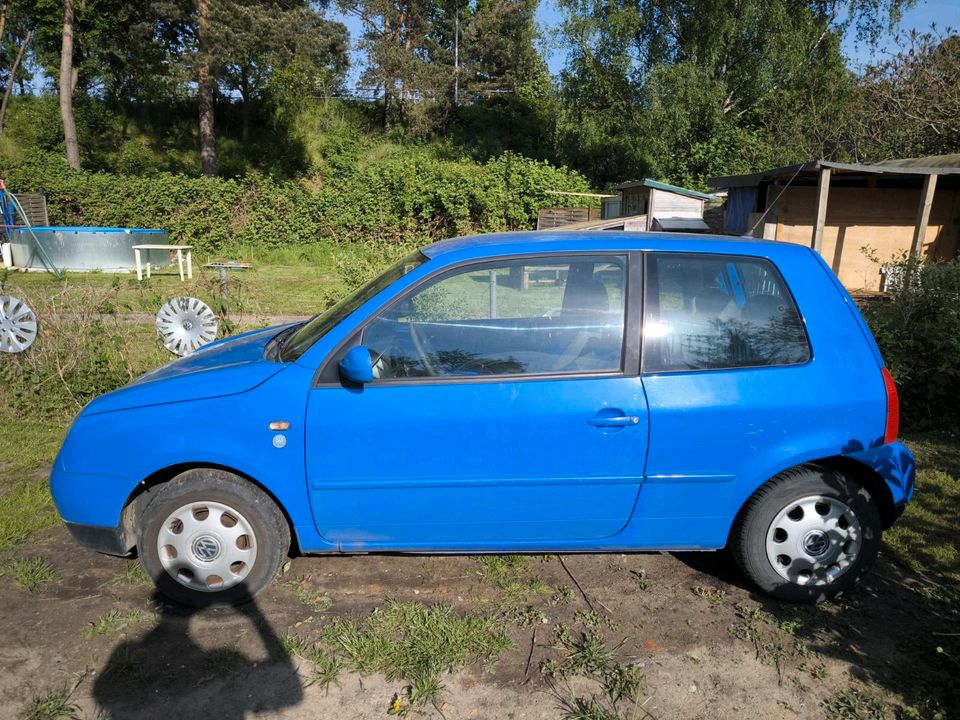 VW Lupo  1 lieter Maschine ohne Tüv 250 fest in Hamburg