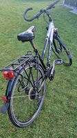 Damen Trekkingrad Morazan 28 Zoll. Nordrhein-Westfalen - Detmold Vorschau