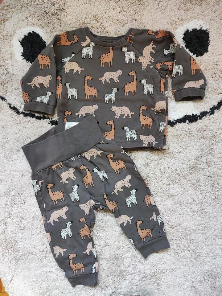 Babyset H&M 74 Sweatshirt Hose Sweatshirtset in Mainburg