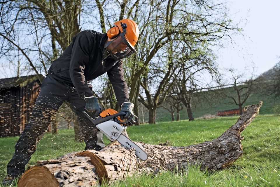 Kettensäge / Motorsäge Stihl MS 170 Mieten / Leihen in Bad Salzuflen