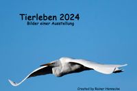 Tierkalender 2024 mit 12 Fotos Nordrhein-Westfalen - Schmallenberg Vorschau