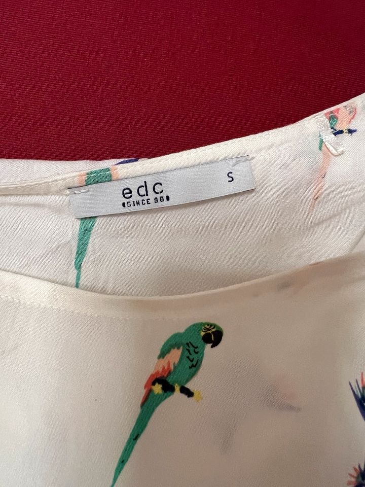 Edc by Esprit Bluse in Oberschleißheim