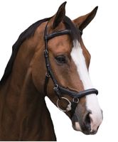 Horseware Rambo Micklem Deluxe Competition Bridle neuwertig Bayern - Freising Vorschau