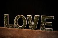 LOVE Dekoschriftzug Hochzeit Nordrhein-Westfalen - Goch Vorschau
