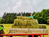 Heu, beste Qualität, kleine Quaderballen Bayern - Goldkronach Vorschau