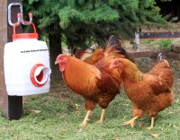 Futterspender Futterautomat Futtertrog Hühner Küken Stall Huhn Rheinland-Pfalz - Göcklingen Vorschau