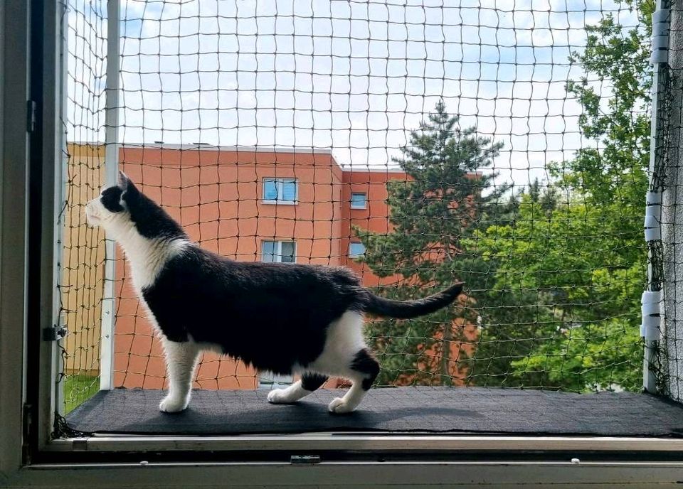 Verstellbarer Katzenbalkon für Fensteröffnungen in Hanau