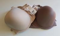 Damen Dessous, Bügel-BHs Baden-Württemberg - Bad Schönborn Vorschau