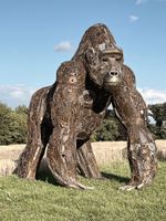 Gorilla aus Recycling Metall, Metallskulptur "Gorilla Boss" Nordrhein-Westfalen - Witten Vorschau