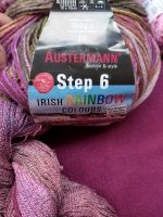 Austernmann Step 6 Irish Rainbow Colors Nordrhein-Westfalen - Mönchengladbach Vorschau