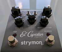 Strymon El Capistan Saarbrücken-Mitte - Alt-Saarbrücken Vorschau