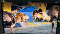 Samsung TV LED SMART UE46ES8090 Rheinland-Pfalz - Maxdorf Vorschau