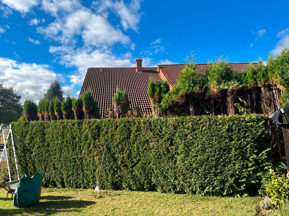 Gärtner Gartenarbeit Gartenpflege Haus u. Gartenservice in Bünde