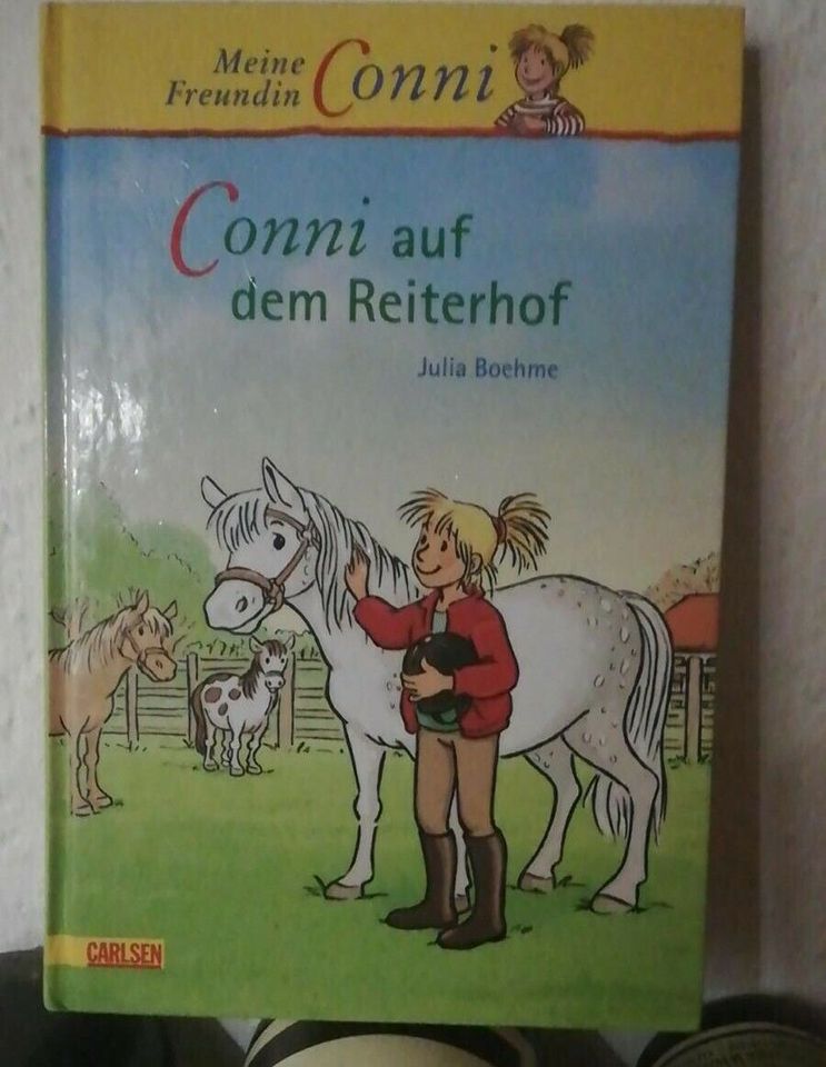 Conni auf dem Reiterhof Buch in Bergheim