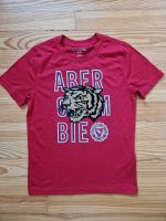 abercrombie Kids T-Shirt Gr.9-10 Saarland - Schiffweiler Vorschau