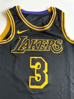 NBA Nike Trikot Mamba Edition LA Lakers Davis Swingman Jersey Rheinland-Pfalz - Koblenz Vorschau